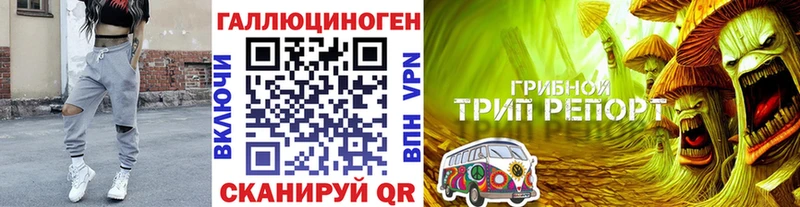 Галлюциногенные грибы Magic Shrooms  Лагань 
